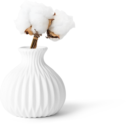 No hay proyectos imposibles