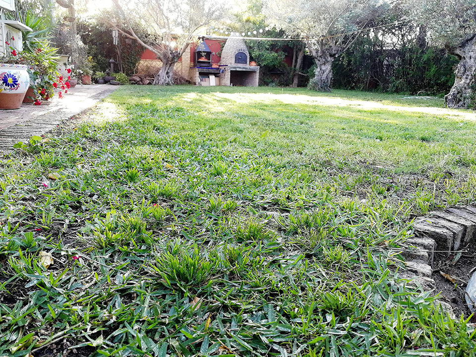Renueva el césped de tu jardín | Bricoqueen