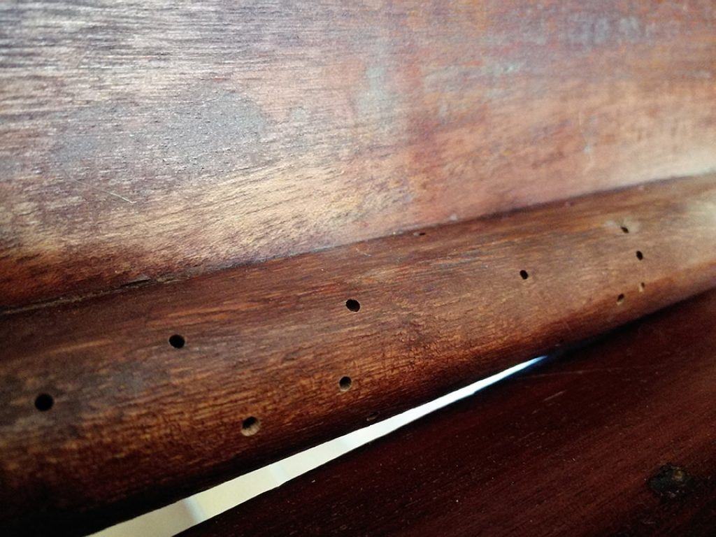 Mesa de madera con agujeros producidos por la carcoma